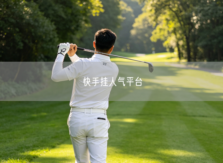 快手挂人气平台