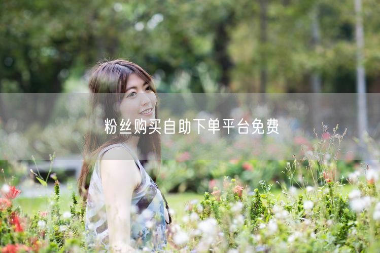 粉丝购买自助下单平台免费