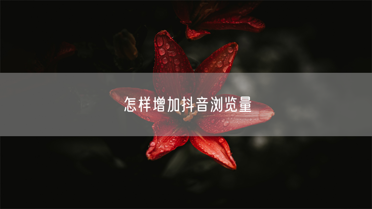 怎样增加抖音浏览量