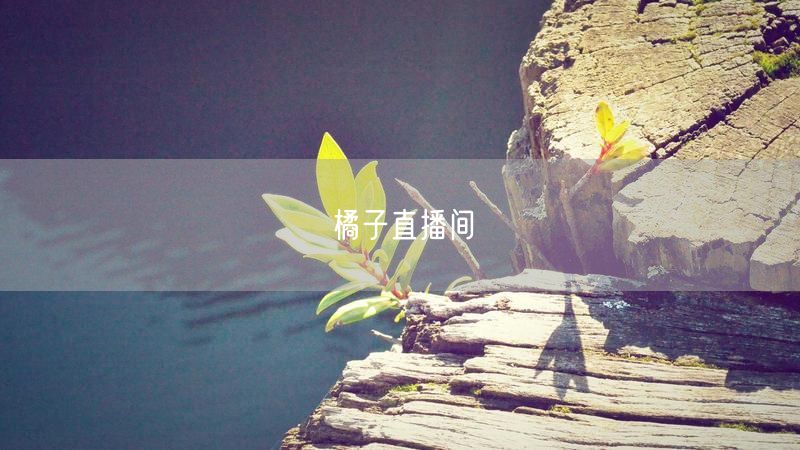 橘子直播间