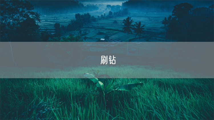 刷钻